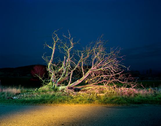 Route  la Campagne avec Arbre. Soir. Au virage de la departementale qui relie Roussillon  Gargas entre les Clos de lOUrbane et Les Bourgues by Gerard Byrne contemporary artwork Photography