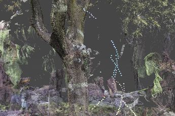 Hien Hoang contemporary artist