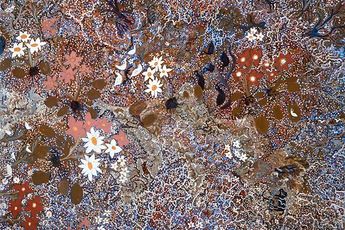Contemporary art exhibition Mavis Ngallametta My Country - Six New Paintings at Martin Browne Contemporary Sydney Australia