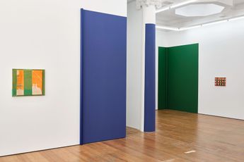Contemporary art exhibition Oliver Perkins The Reserve at Lett Thomas Karangahape Road New Zealand