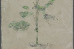 ZHENG YUNHAN