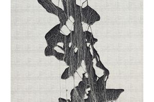 Yu Li