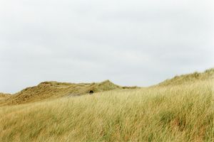 Grit Schwerdtfeger