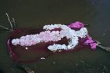 Flower Person Flower Body by Ana Mendieta contemporary artwork photography