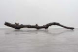Branch by Dorothy Cross contemporary artwork design