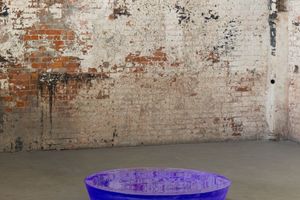 Roni Horn