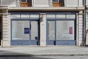 Fabienne Levy contemporary art gallery in Geneva Switzerland