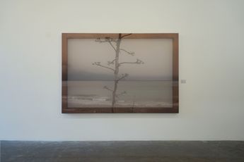 Contemporary art exhibition Joan Ill Mediterranee at Galerie Tanit Beyrouth Lebanon