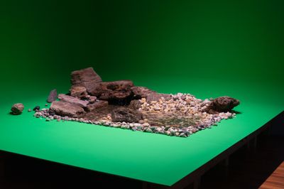 Gwangju Biennale 2023 Gets Soft and Weak Like Water
