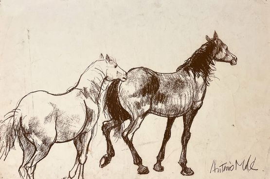 Shape and Shadow 1 by Antonio Mak contemporary artwork Works on Paper