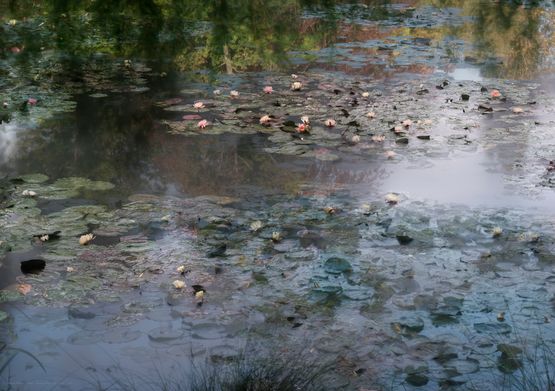 Giverny by Michael Wesely contemporary artwork Photography