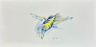 Prairie Warbler by Summer Mei-Ling Lee contemporary artwork Works on Paper