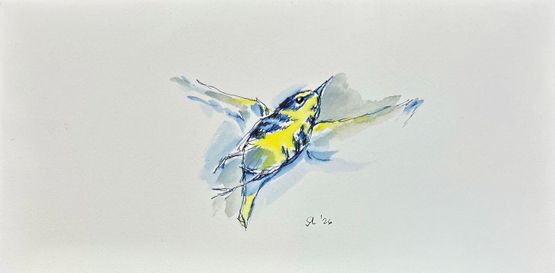 Prairie Warbler by Summer Mei-Ling Lee contemporary artwork Works on Paper