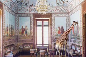 Karen Knorr