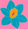 Flowers Daffodil by Michael Craig-Martin contemporary artwork Print