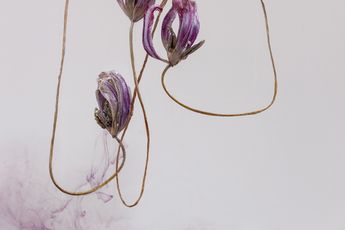Kathrin Linkersdorff contemporary artist