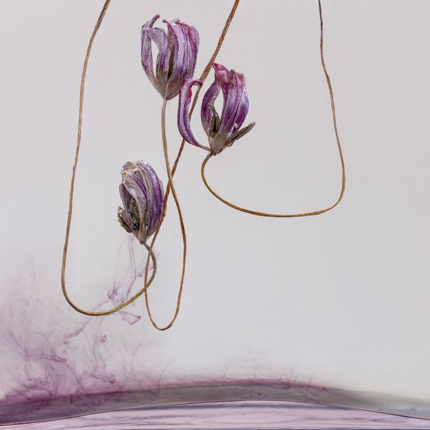 KATHRIN LINKERSDORFF