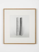 Elaborations Extension No. 1 by Becky Beasley contemporary artwork photography