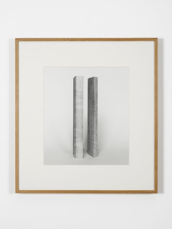 Elaborations Extension No. 1 by Becky Beasley contemporary artwork Photography