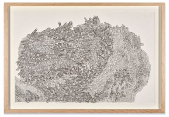 Untitled by Delcy Morelos contemporary artwork Works on Paper