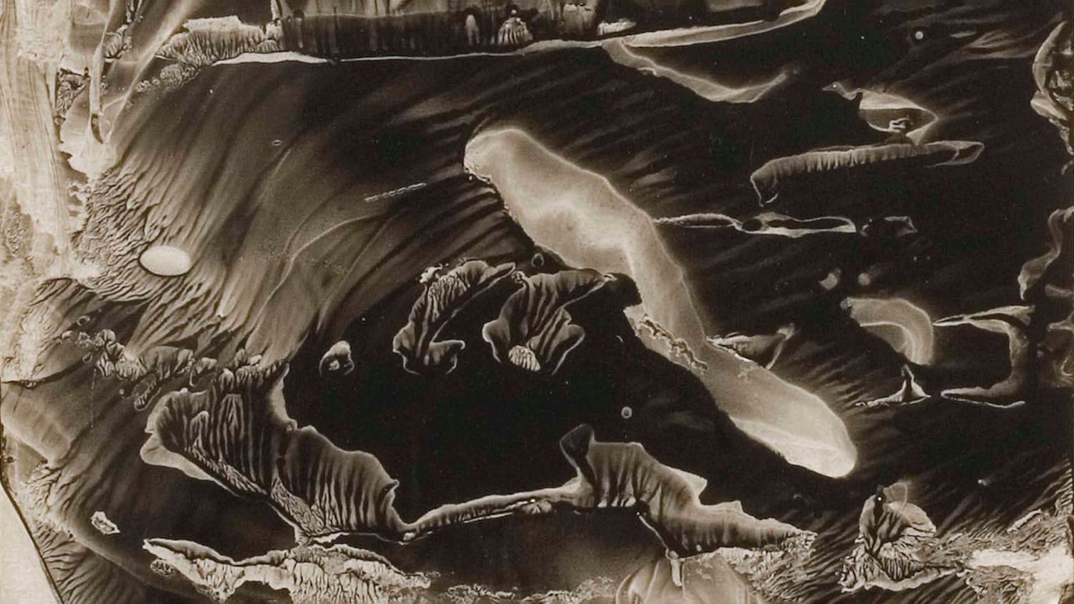 ROLAND FLEXNER