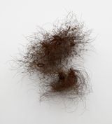 Root of It by Alan Saret contemporary artwork sculpture