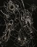 Constellations by Zhao Zhao contemporary artwork Sculpture