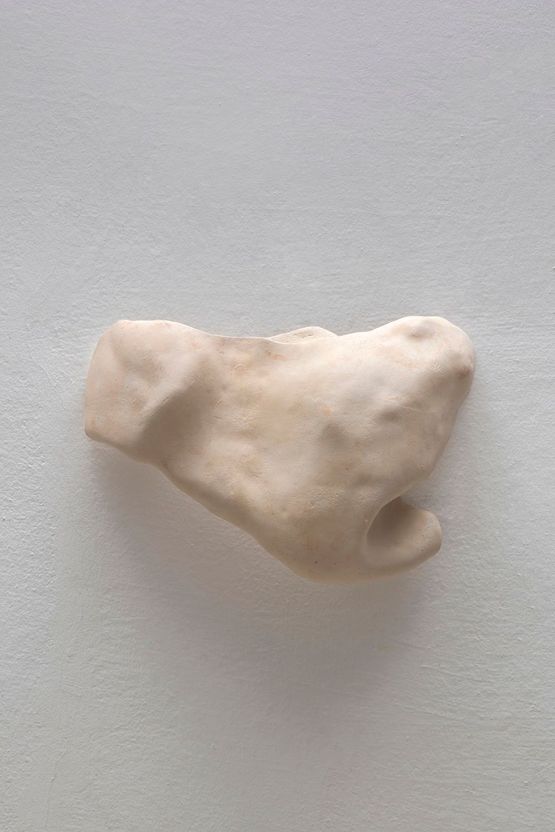 Studies for potential metamorphoses II by Yasam Sasmazer contemporary artwork Sculpture