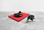 Gustavs Wing by Danh Vo contemporary artwork Sculpture