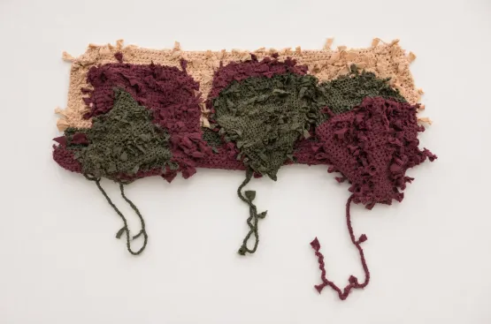 Untitled from the series Teats that Fed the World by Lidia Lisboa contemporary artwork Textile
