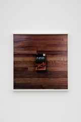 Topologies Fanon midly out of focus by Leslie Hewitt contemporary artwork photography