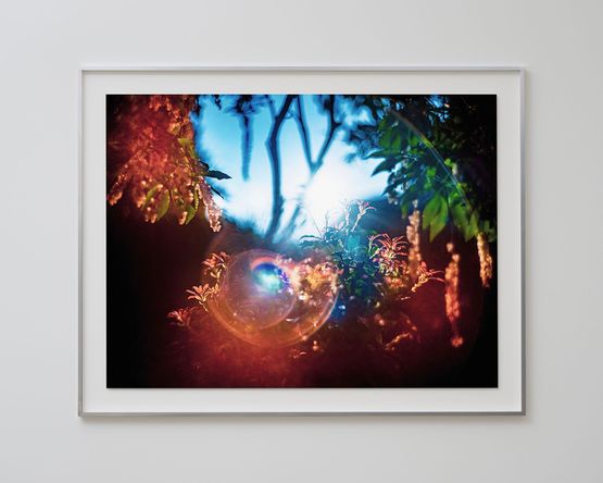 072254 by Yosuke Takeda contemporary artwork Photography