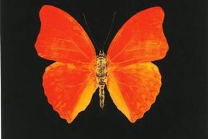 Damien Hirst
