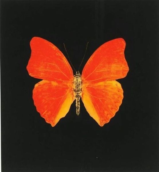 Memento 3 by Damien Hirst contemporary artwork Print