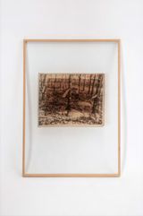 Interventions Slashed rubber trees from One Day Well Understand by Sim Chi Yin contemporary artwork painting works on paper sculpture