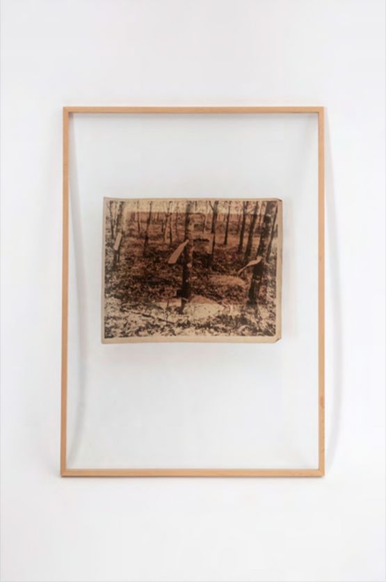 Interventions Slashed rubber trees from One Day Well Understand by Sim Chi Yin contemporary artwork Painting