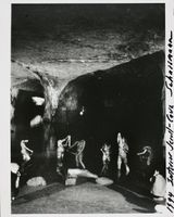Interior Scroll The Cave by Carolee Schneemann contemporary artwork photography