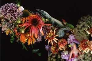 Nobuyoshi Araki