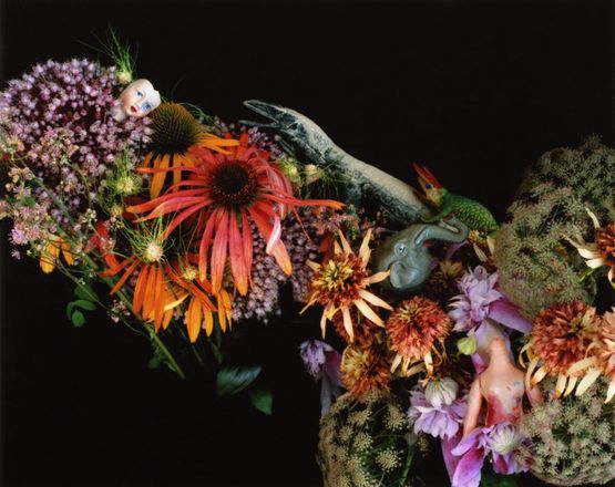 qaradise by Nobuyoshi Araki contemporary artwork Photography