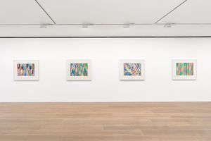 Bridget Riley