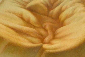 Tamie Okuyama contemporary artist