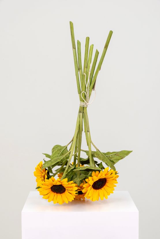 Arrangement by Tony Matelli contemporary artwork Sculpture