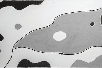 Contemporary art exhibition Freddie Timms NGARRMALINY at Martin Browne Contemporary Sydney Australia