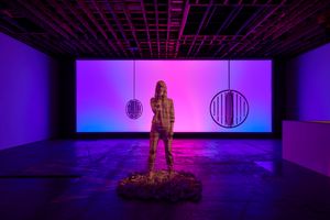 Doug Aitken