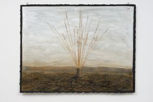 Michael Shepherd
