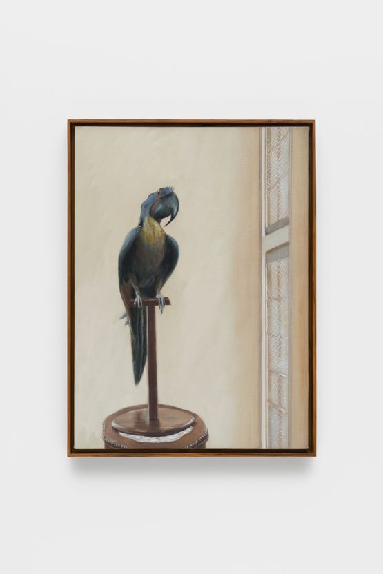 Bird Watching by Mahesh Baliga contemporary artwork Painting