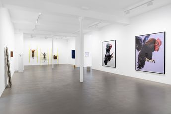 Contemporary art exhibition Group Exhibition Egregore at Galerie Chantal Crousel Paris France