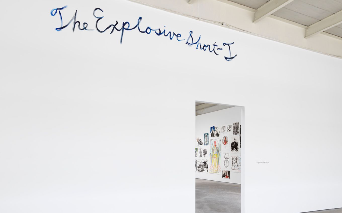 Raymond Pettibon