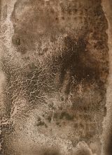 Terrain Series by Fatos Irwen contemporary artwork works on paper