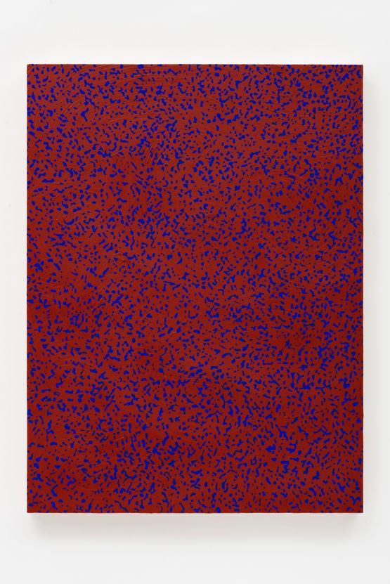 Study 154-175 from the Eyecodex of the Monochrome by Navid Nuur contemporary artwork Painting